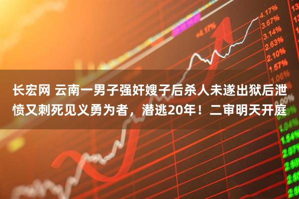 长宏网 云南一男子强奸嫂子后杀人未遂出狱后泄愤又刺死见义勇为者，潜逃20年！二审明天开庭