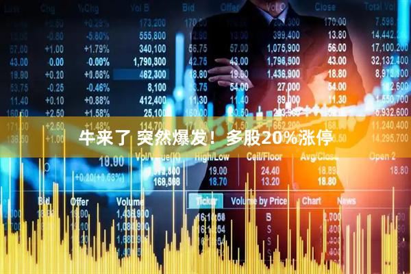 牛来了 突然爆发！多股20%涨停