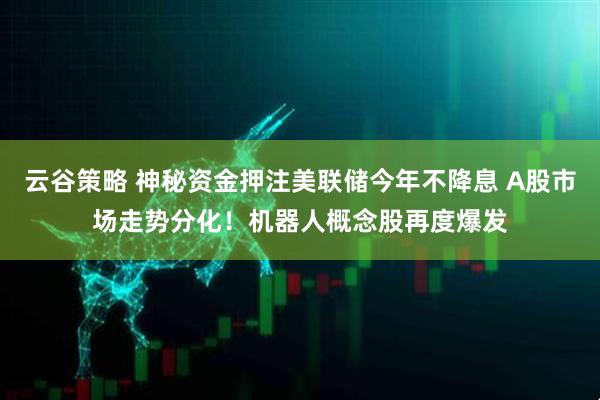 云谷策略 神秘资金押注美联储今年不降息 A股市场走势分化！机器人概念股再度爆发