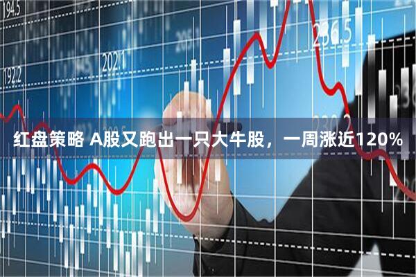 红盘策略 A股又跑出一只大牛股，一周涨近120%
